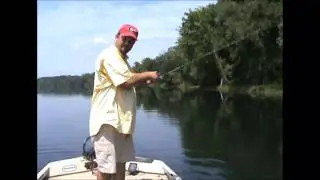 Basic Texas Rig Fishing