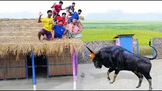 Must Watch New Special Comedy Video 2023 😎Totally Amazing Comedy Episode 293 By 