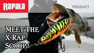 New-Age Spoon Fishing! - Rapala® X-Rap® Scoop