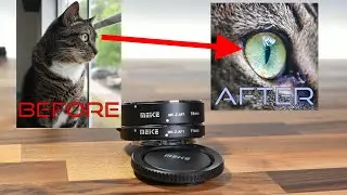 5 Tips for Nikon Macro Photography | Meike Macro Extension Tubes Review for Nikon Z