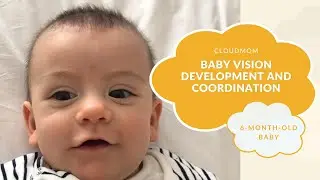 6-Month-Old Baby: Baby Vision Development and Coordination | CloudMom