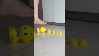 Duck 1 vs 2 + 3