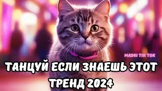 💗ТАНЦУЙ ЕСЛИ ЗНАЕШЬ ЭТОТ ТРЕНД 2024💗