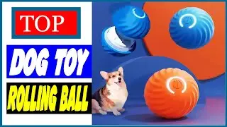 5 Best Dog Toy Ball Automatic Moving Bouncing Rolling Ball