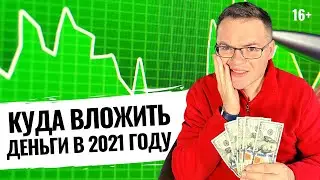 Куда вложить деньги в 2021 году? Куда начинающему инвестору вложить деньги в 2021 году и заработать