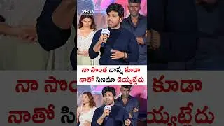 నా సొంత నాన్న కూడా నాతో సినిమా చెయ్యట్లేదు #allusirish #BuddyTrailerLaunchEvent #buddy