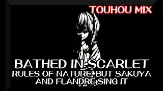 Bathed in Scarlet - Rules of Nature [Touhou Mix] / but Sakuya and Flandre sing it - FNF Covers