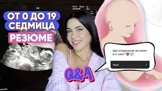 БРЕМЕННА ❥ седмица 0-19 | Q&A + резюме
