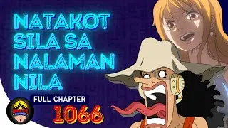 Natakot sila sa nalaman nila kay Vegapunk | One Piece Full 1066