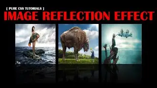 Pure CSS Reflection Property | CSS3 Image Reflection Effect 