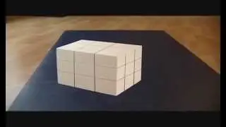 Trippy Illusion Cube