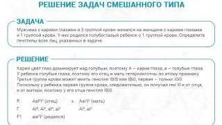 С6 - Решение задач на дигибридное скрещивание
