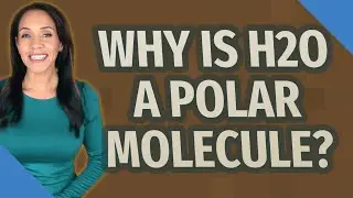 Why is H2O a polar molecule?