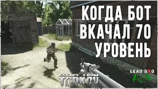 Escape from Tarkov - Когда бот вкачал 70 уровень