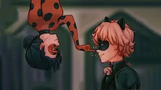 Miraculous Ladybug Season 4「AMV」- Zero Gravity