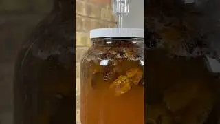 WHAT WAITING FOR FERMENTATION IS LIKE