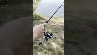 Распаковка #brainstorm #asmr #feeder #fishing #feederfishing #brainfishing #рыбалка #фидер #angeln