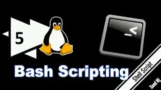 Bash Scripting (5) If Elif Else Conditional Statements