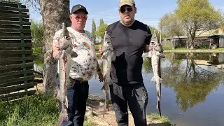 РЕЦЕПТ ПРОВЕРЕННЫЙ ГОДАМИ ! РЫБАЛКА И ШАШЛЫК ИЗ ОСЕТРА 