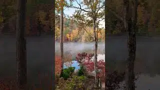 Morning zen. #peaceful #zen #calming #fallcolors #takeabreak #relaxing #peace #rollingfog