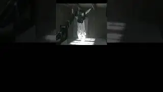 have you seen it yet?