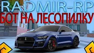 РАДМИР РП 🔥 НОВЫЙ БОТ НА ЛЕСОПИЛКУ 😎 ЛЮТЫЙ ФАРМ ВИРТОВ ⚠️ 300К В ЧАС 🔫  БЕГАЮЩИЙ БОТ 🎅 НА ОБНОВУ 7.1