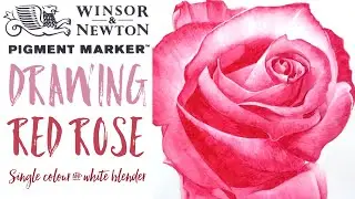 Winsor and Newton Pigment Markers // Drawing a Red Rose with one colour!