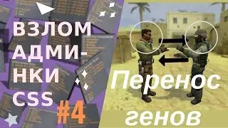 Взлом админки css: #4 Перенос генов