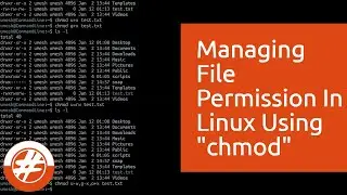 023 - How To Manage File Permission In Linux | Linux For Beginners