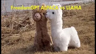 FreedomGPT ALPACA vs LLAMA