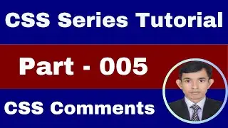 CSS 005 - CSS Comments  || CSS Full Course Series Tutorial || RKPRODIP