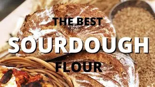 Yecora Rojo - The Best Sourdough Flour