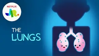 What Are Lungs? 💨 StoryBots: The Human Body for Kids | Netflix Jr