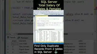 Find Total Sum of Male and Female Salaries SQL Server