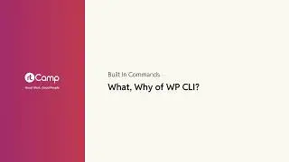 What, Why of WP CLI?