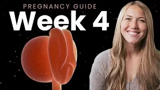 4 Weeks Pregnant | Week By Week Pregnancy