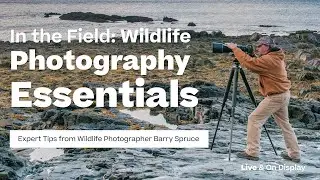 In the Field: Wildlife Photography Essentials | Barry Spruce Photography | WHCC Live