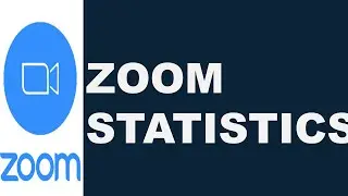 Zoom Statistics | What is Zoom Statistics? | How to Check the Zoom Statistics in Application
