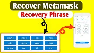 How To Get Metamask Secret Recovery Phrase in Mobile Very Easily 