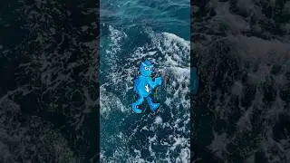 Видео, заряженное на вдохновение: отправляемся по любимым местам наших подписчиков #анимация