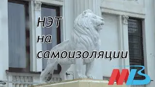 Как волгоградский НЭТ переживает самоизоляцию?