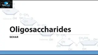 OLIGOSACCARIDES