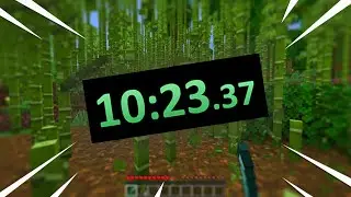 i broke a minecraft record...