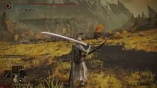 Powerstance Great Katana Moveset Showcase