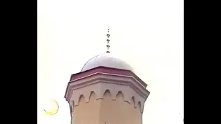 Курбан-байрам в Московской исторической мечети (отрывок из передачи 