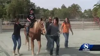 Special needs rodeo held at the San Benito County Saddle Horse Show and Rodeo this weekend