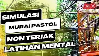 Simulasi lomba murai batu pastol ‼️ jernih tanpa teriakan