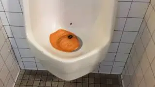 Public Toilet in Japan and USA