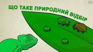 Що таке природний відбір [Stated Clearly]