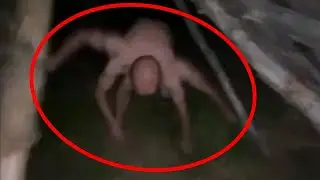 FANTASMI E STRANE CREATURE RIPRESE DA UNA VIDEOCAMERA (INQUIETO TV)